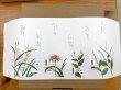 画像10: 雪の香プリン１０個セット（お好きなプリン選択可能） (10)
